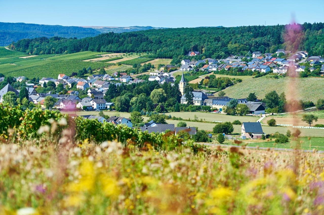 Ferienweingut Willems Oberemmel Zewnętrze zdjęcie