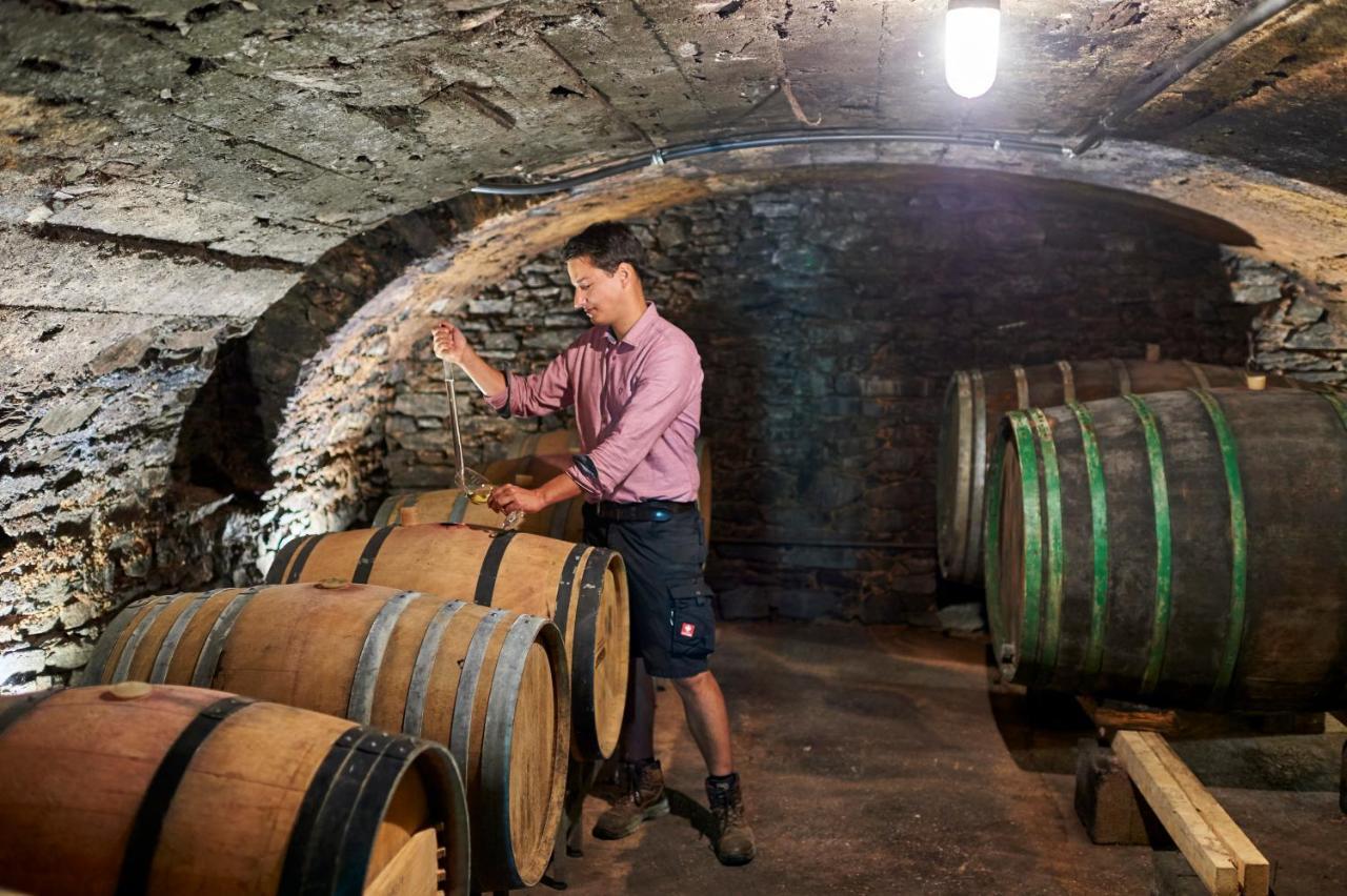 Ferienweingut Willems Oberemmel Zewnętrze zdjęcie
